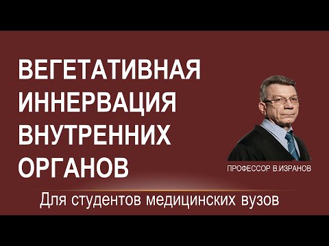 Видео: Вегетативная иннервация внутренних органов