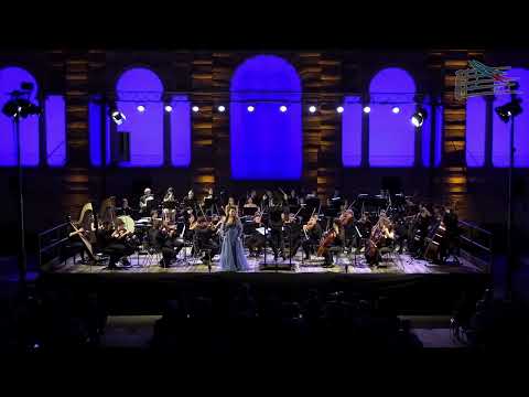 Видео: 14 ноября 2025 г.