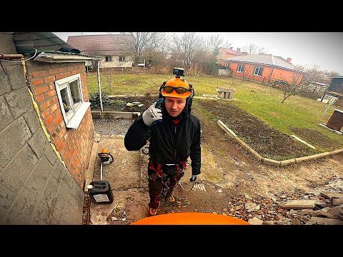 Видео: 200$ Удаление двух небольших деревьев
