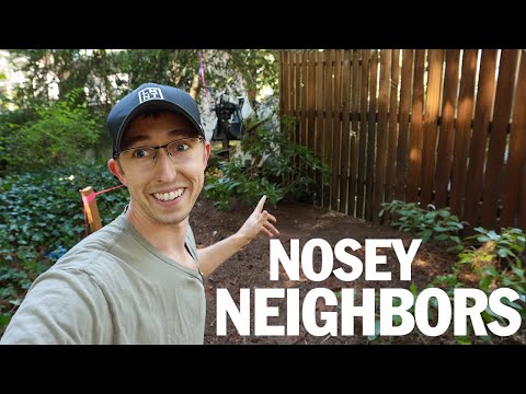 Видео: У меня проблема с конфиденциальностью (как я ее решаю)