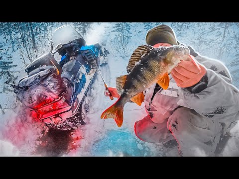 Видео: РЫБАЛКА В ГЛУШИ СЕВЕРНОГО ЛЕСА. ПЕРВОЛЕДЬЕ НА ДИКОМ ОЗЕРЕ. ПОПАЛ В РУЧЕЙ НА СНЕГОХОДЕ. КРУПНЫЕ ОКУНИ