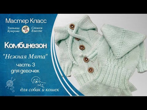 Видео: Комбинезон для собаки спицами, Часть3, Dog clothes