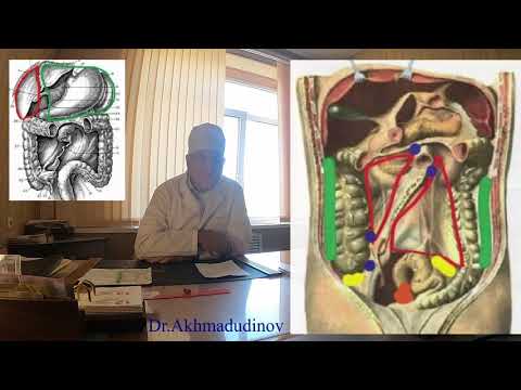 Видео: Брюшная полость. Часть 1. Проф. Ахмадудинов М.Г.