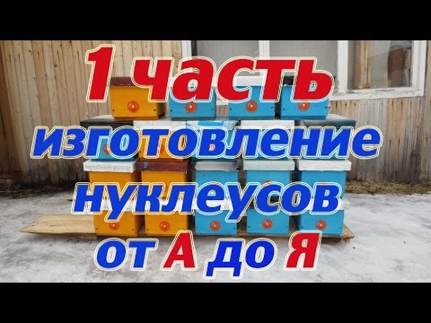Видео: 1 часть ИЗГОТОВЛЕНИЕ НУКЛЕУСОВ НА ТРИ РАМОЧКИ от А до Я.  🔥🔥🔥