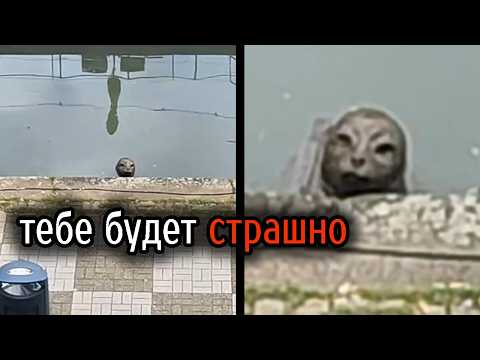 Видео: Самые Ужасные Видео со Всего Мира #27