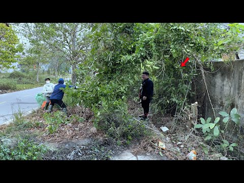 Видео: Хозяин земли не поверил, что мы сможем расчистить страшный, заросший тротуар