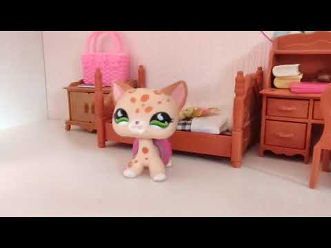 Видео: Обзор на ОГРОМНЫЙ ДОМ для съёмок с LPS! #lpstubeжив