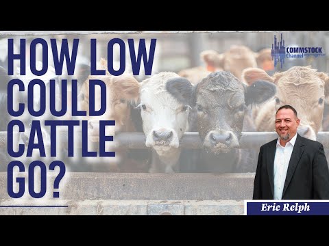 Видео: Насколько низко может упасть скот с Эриком Релфом