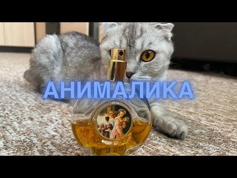 Видео: Обзор на Bal a Versailles от Jean Desprez