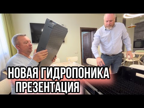 Видео: Гидропоника тюльпанов!!! Всё доступнее и доступнее