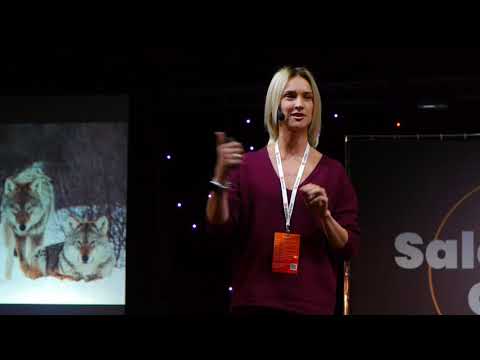 Видео: 6. Sales Super Hero: как им быть или как подобрать его в команду - Анастасия Сохина | SalesHero Conf