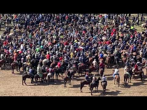 Видео: 23  02 2023 бузкаши н панч