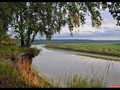 Видео: Создание березы для диорамы/Realistic Scenic Trees - Wire Armatures