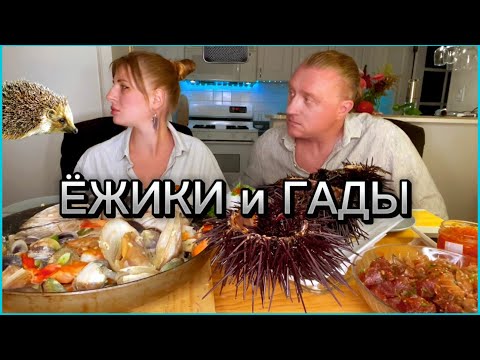 Видео: МУКБАНГ . АСМР. SEA URCHINS. КРЕВЕТКИ .ОБЖОР. MUKBANG. SEAFOOD. ASMR. EATING #mukbang  #asmr  #food