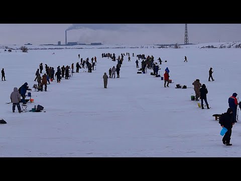 Видео: БАЛЫҚШЫЛАР БӘЙГЕСІ. НАҒЫЗ БАЛЫҚШЫ КІМ? Кто стал чемпионом зимней рыбалки?