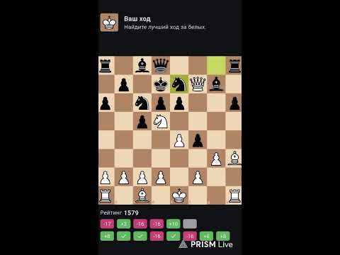 Видео: Шахматы 2 (1.11.25)