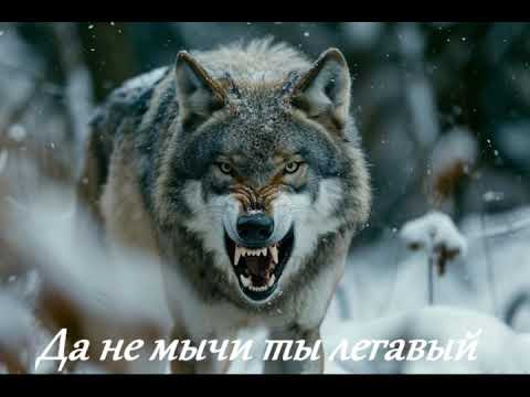 Видео: Garik Garik... Да не мычи ты легавый