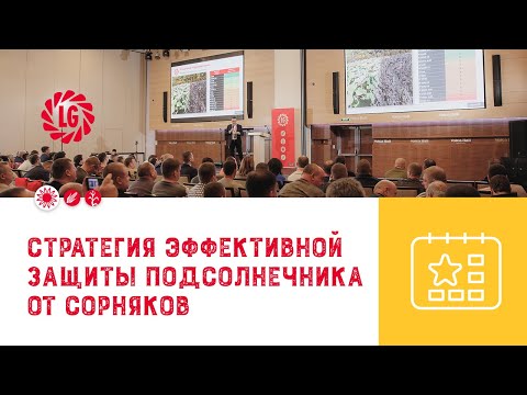 Видео: Защита подсолнечника от сорняков🌻 / "Подсолнечник 2023"