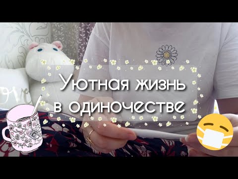 Видео: Уютная рутина в жизни болеющего офисного работника / Silent vlog