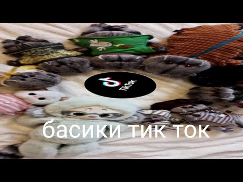 Видео: •|БАСИКИ в ТИК ТОК|•12 МИНУТ БАСИКОВ!!!!