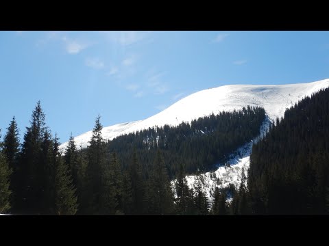 Видео: Похід в Карпати. Мислівка- г. Яйко Ілемське (1680м.)