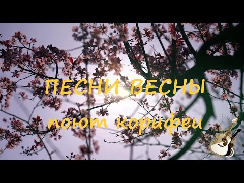 Видео: ПЕСНИ ВЕСНЫ поют корифеи бардовской песни