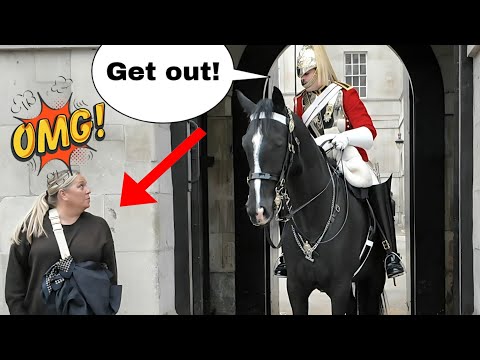 Видео: «УЙДИ! Она вошла в коробку и получила по заслугам!