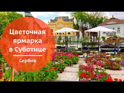 Видео: Весенняя цветочная ярмарка в г. Суботица Сербия - 1 | Spring Flower Fair in Subotica Serbia