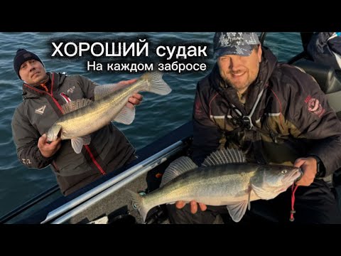 Видео: Дрожь в руках. Нереальный клев крупного судака. Рогожкино раздает. Незабываемая рыбалка на закате.