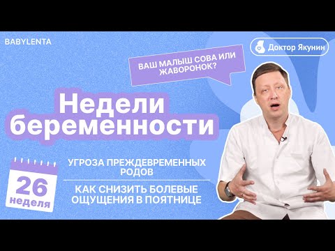 Видео: 26 неделя беременности как выглядит малыш,, что происходит, УЗИ, шевеления, боли в пояснице