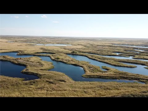 Видео: Коскумбес, оз. Балхаш, сентябрь 2022 год