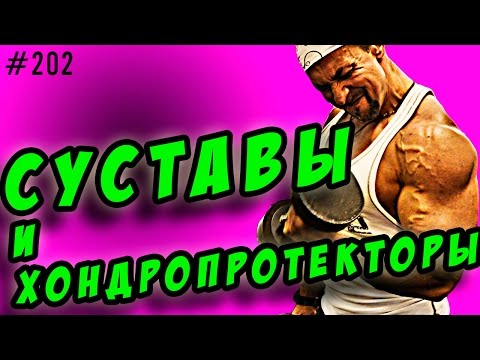 Видео: хондроитин, глюкозамин msm | суставы и хондропротекторы  отзывы