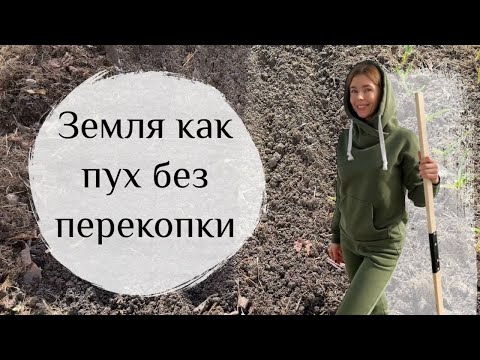 Видео: Рыхлая, плодородная земля без перекопки. Сею морковь в некопанную грядку