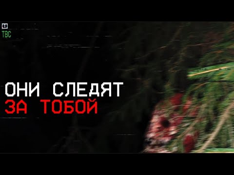 Видео: История Жуткого Аккаунта на Twitter