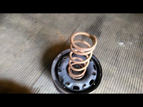 Видео: Живая подставка для чучела Крик