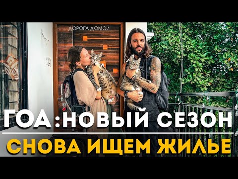 Видео: Поиски жилья в Гоа. Весь Арамболь за 6 дней