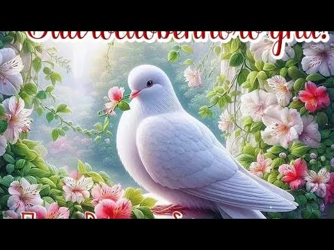 Видео: Таня Ворона в прямому ефірі.