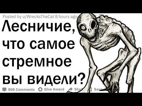 Видео: Лесничие, что самое криповое вы видели в лесу?