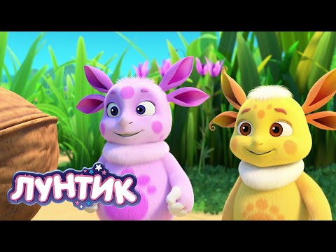 Видео: Лунтик | Орех | Новая серия