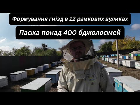 Видео: Формування гнізд в 12-ти рамкових вуликах