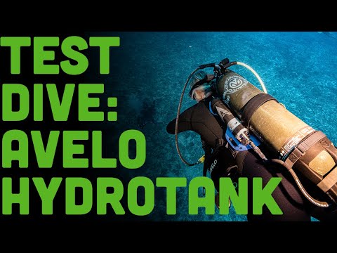 Видео: Avelo уже здесь. Это меняет всё!