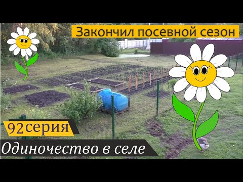 Видео: Что я посадил на огороде? Одиночество в селе, серия 92