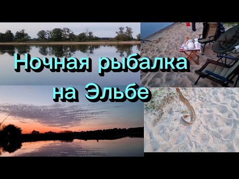 Видео: ШОК от цен/Большие покупки/Всё для ночной рыбалки/Место на Эльбе с ночевкой/Рыба есть/Угорь( Аль)/