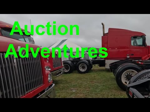 Видео: Аукционные приключения