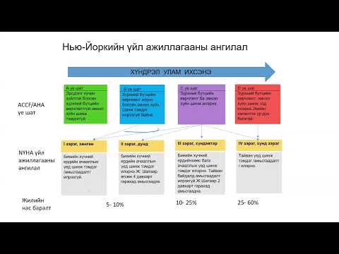 Видео: Зүрхний архаг дутагдлын эрт илрүүлэг