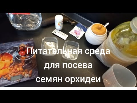 Видео: Самый простой способ приготовления среды для посева орхидеи # Питательная среда без заморочек