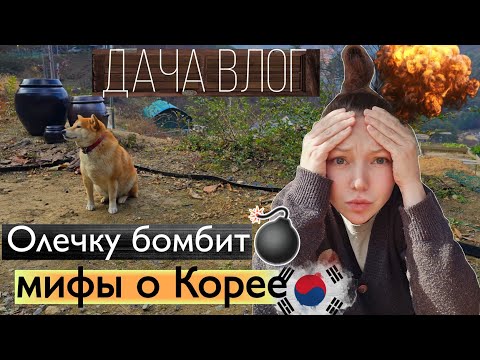 Видео: Мифы о Корее / Дачный влог / KOREA VLOG