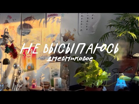 Видео: Простая жизнь | готовлю завтрак | вяжу свитер собаке | не высыпаюсь | составляю список радостей