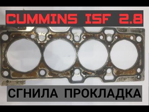 Видео: СГНИЛА ПРОКЛАДКА ГБЦ | CUMMINS ISF 2.8 | ВОДА? ИЛИ ДЕШЁВЫЙ АНТИФРИЗ ИЗ АШАНА?