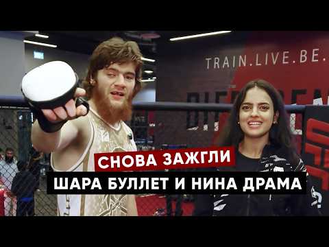 Видео: Шара Буллет настучал по голове Нине Драме / Безумная тренировка перед боем